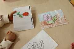 IMG-20250116-WA0029