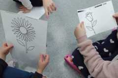 IMG-20250116-WA0037