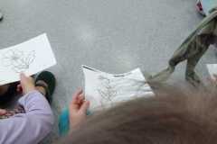 IMG-20250116-WA0038
