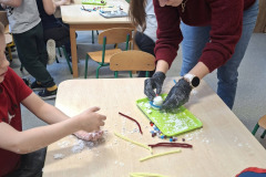 651294298_1440798728063368_6605023065537090480_n