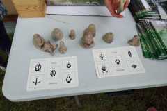 447577375_908924251250821_4492317205848894789_n