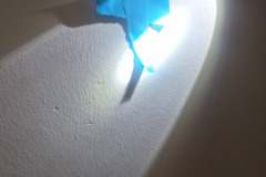 649170046_1434788711997703_1222996533709047909_n