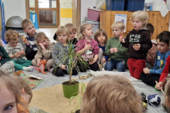 644370048_1424079126401995_2126476126051517723_n