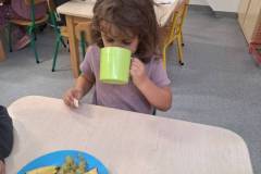 555382034_1290186066457969_6396601177985645065_n