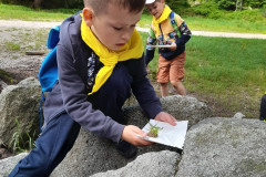 448180270_914554507354462_3379316360103398311_n