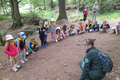 448224421_914549110688335_7181887190209659941_n