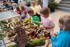 558191220_1300489368760972_3786917096664275244_n