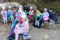 436225273_896401482503098_3686320242692026999_n