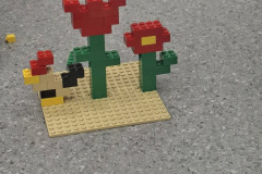 651668658_1439041024905805_466896189159835563_n