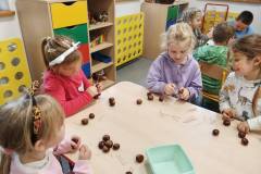 1_514246545_1314737037336205_5424713480245650285_n