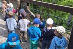 441178403_896546969155216_5386829243574615885_n