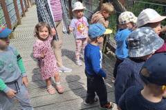 441403087_896546865821893_8930908129763187699_n