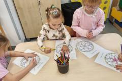 557995688_1301465041996738_6755129213498517913_n