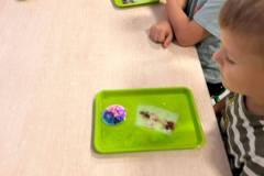 559973424_1301307332012509_3572730903530165047_n