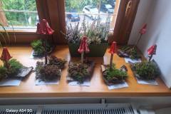 552695142_1286474863495756_5037196474812593378_n