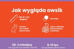 PRZEDSZKOLA-BEZ-OWISKOW-BROSZURA-A6.pdf - 2
