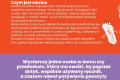 PRZEDSZKOLA-BEZ-OWISKOW-BROSZURA-A6.pdf - 3