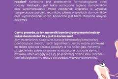 PRZEDSZKOLA-BEZ-OWISKOW-BROSZURA-A6.pdf - 7