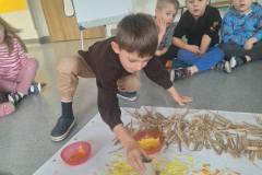 585355173_1338958951580680_4256563020591377127_n