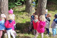 556603240_1294445682698674_5354648907447325531_n