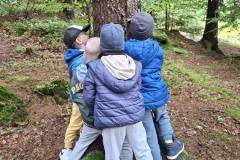 557642105_1294445336032042_1564211389257440372_n