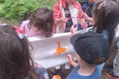 541528336_1268554158621160_7813093234158804897_n