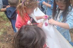 541800833_1268554295287813_6470544915452355493_n