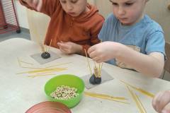 584917208_1339933924816516_1698475894368882675_n