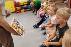 459058348_975046211305291_4472740917300269413_n