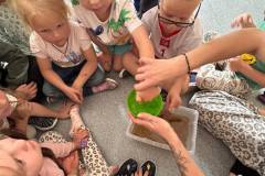 545419592_1275508831259026_6143511315740237221_n