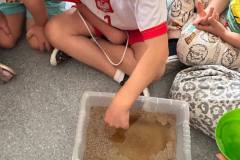 545887696_1275508774592365_368058648012744470_n