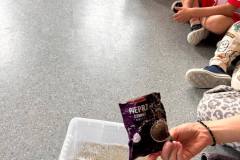 546478502_1275509541258955_6055552295381615420_n