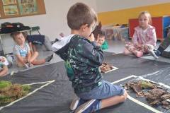 542751047_1271191845024058_7110290621191036673_n