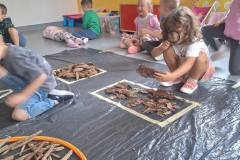 543123038_1271191135024129_6077486114725238902_n