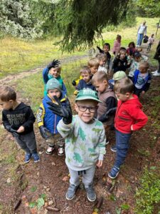 Chochliki sprzątają las