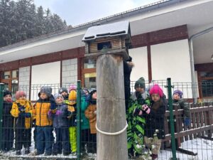 Chochliki odwiedzają karmniki