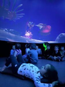 Oceanarium