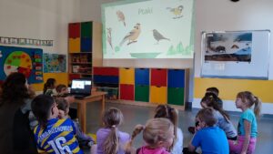 KPN – Jak zwierzęta spędzają zimę?